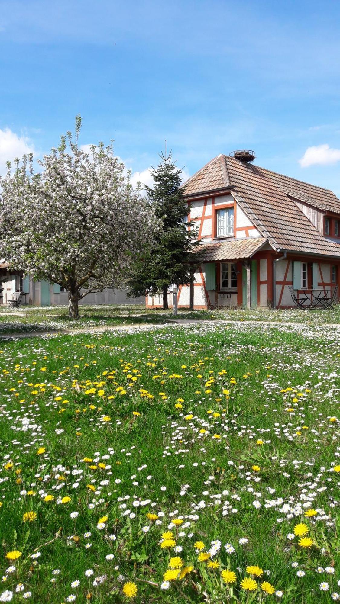 Les Loges De L'Ecomusee D'Alsace Ungersheim Exterior photo